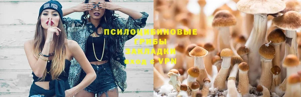 ПСИЛОЦИБИНОВЫЕ ГРИБЫ Надым