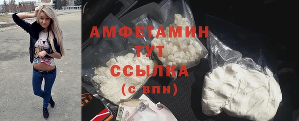 стаф Нея