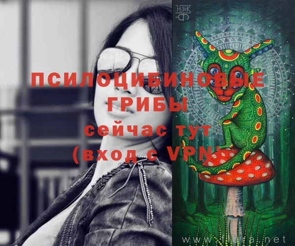 соль курить ск Наволоки