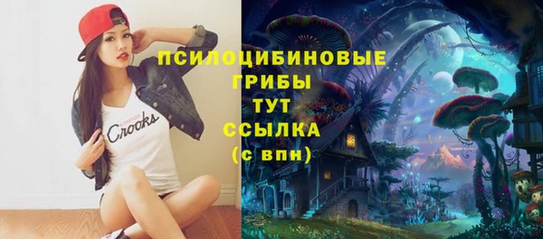ПСИЛОЦИБИНОВЫЕ ГРИБЫ Надым