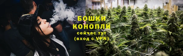 стаф Нея